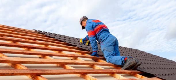 Best Roof Coating and Sealing  in Strasburg, VA