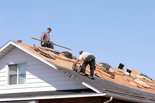 Best Cold Roofs  in Strasburg, VA